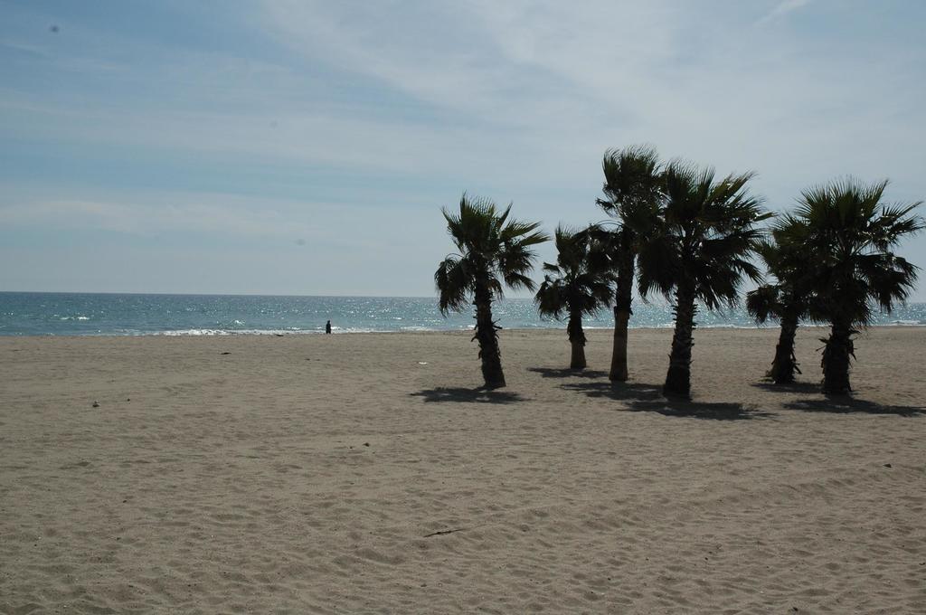 Camping Estival Vendrell Platja Coma-ruga Phòng bức ảnh
